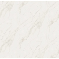 articul-A251039
