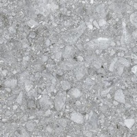 articul-A262164