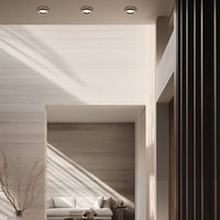 A263387-2 articul-A263387-2