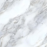articul-A273270