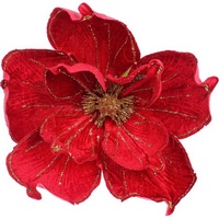 articul-A276907