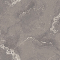 articul-A305552