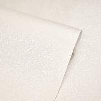 articul-A339239-2