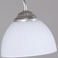 articul-A341098-2