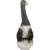 articul-A344226-2