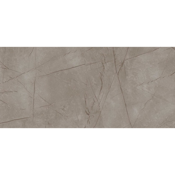 articul-A229886